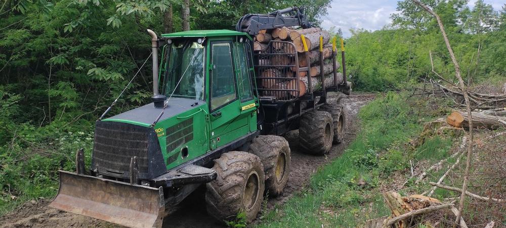 Porteur forestier chargé de bois